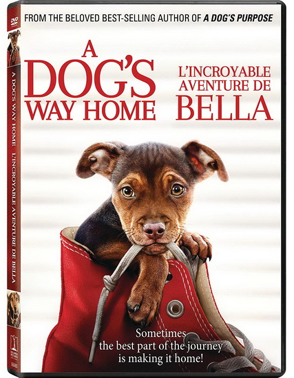 A dog's way home [DVD] (2019).  Directed by Charles Martin Smith.