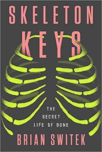 Skeleton keys : the secret life of bone
