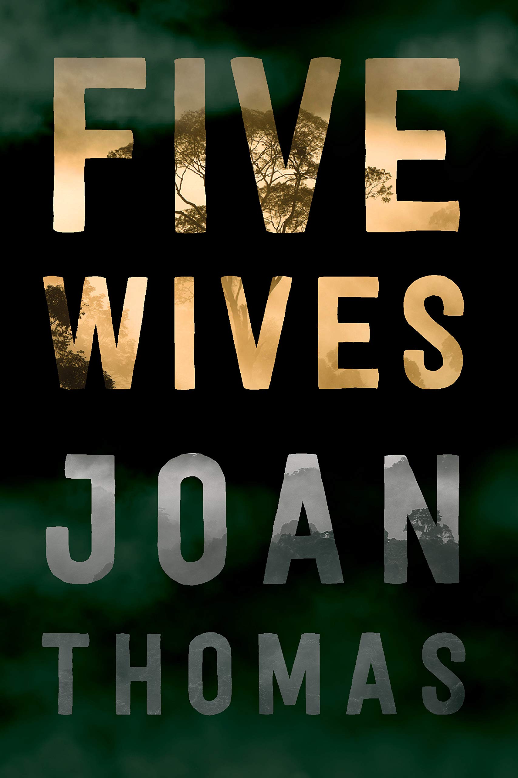Five wives : a novel