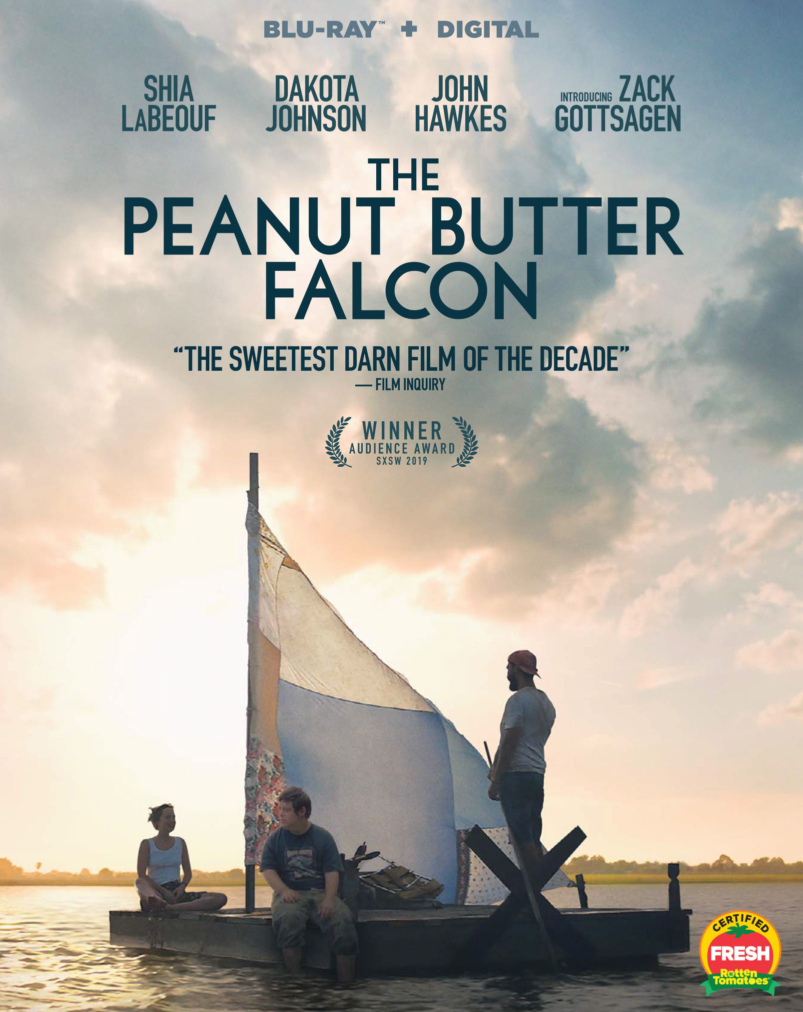 The peanut butter falcon [DVD] (2019).  Directed by Tyler Nilson and Michael Schwartz.