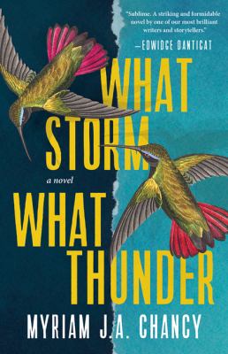 What storm, what thunder : a novel