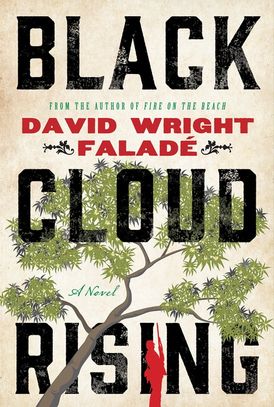 Black cloud rising: a novel