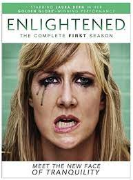Enlightened, season one [DVD] (2010). The complete first season.