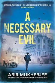 A necessary evil : a novel