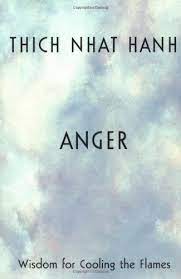 Anger : wisdom for cooling the flames