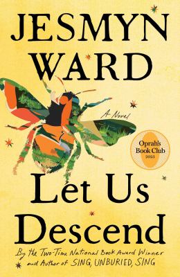 Let us descend : a novel