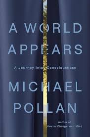 A world appears : a journey into consciousness
