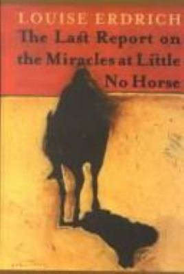 The last report on the miracles at Little No Horse