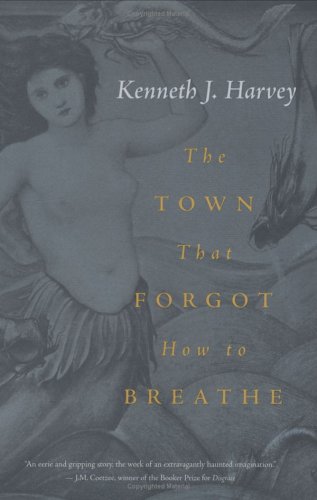 The town that forgot how to breathe : a novel