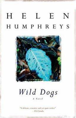 Wild dogs.