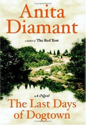 The last days of Dogtown : a novel