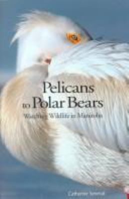 Pelicans to polar bears : watching wildlife in Manitoba