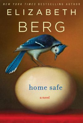 Home safe : a novel