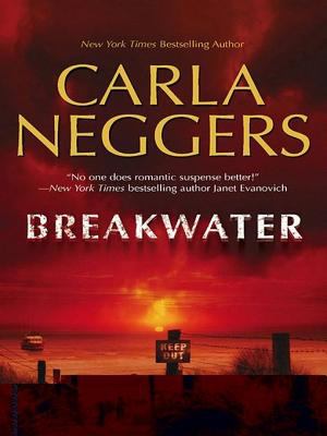 Breakwater [eBook]