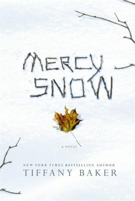 Mercy Snow : a novel