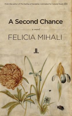 A second chance : a novel
