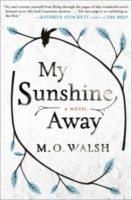My sunshine away : a novel