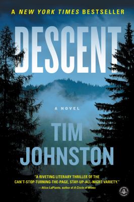 Descent [eBook] : a novel
