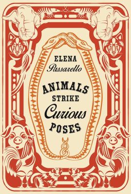 Animals strike curious poses : essays