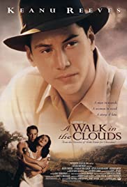 A walk in the clouds [DVD] (1995).  Directed by Alfonso Arau.