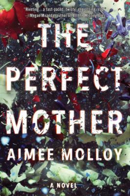 The perfect mother : a novel