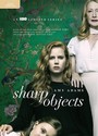 Sharp objects [DVD] (2018).