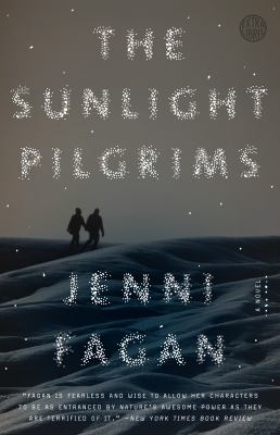 The sunlight pilgrims : a novel.