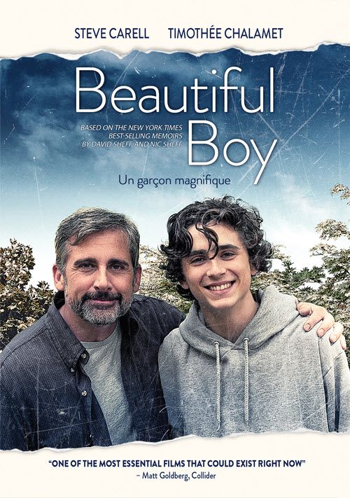 Beautiful boy [DVD] (2018).  Directed by Felix Van Groeningen.
