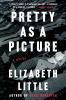 Pretty as a picture [eBook] : a novel