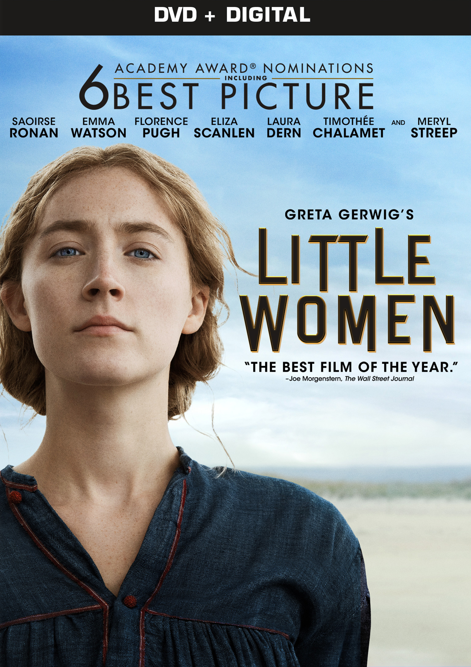 Little women [DVD] (2019).  Directed by Greta Gerwig.