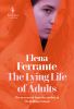 The lying life of adults [eBook]