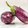 Eggplant Listada di Gandia [seeds]