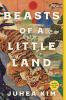 Beasts of a little land : a novel