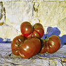 Crimean Black Tomato [seeds]