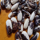 Apache bean [seeds]