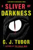 A sliver of darkness : stories