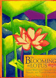 The blooming of a lotus : guided meditation exercises for healing and transformation