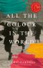 All the colour in the world: a novel
