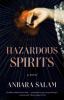 Hazardous spirits : a novel