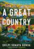 A great country : a novel