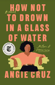 How not to drown in a glass of water [eAudiobook] : A novel