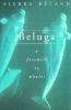 Beluga : a farewell to whales