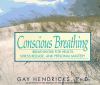 Conscious breathing : breathwork for health, stress release, and personal mastery