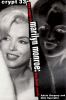 Crypt 33 : the saga of Marilyn Monroe-- the final word