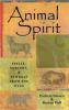 Animal spirit : spells, sorcery, and symbols from the wild