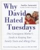 Why David hated Tuesdays : one courageous mother's guide to keeping your family toxin and allergy free