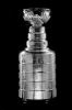 The Stanley Cup : a hundred years of hockey at its best