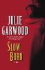 Slow burn : a novel