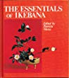 The essentials of Ikebana