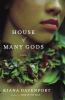 House of many gods : a novel